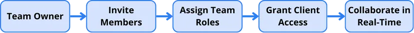 Team collaboration flow showing invite, assign roles, grant access, and collaborate